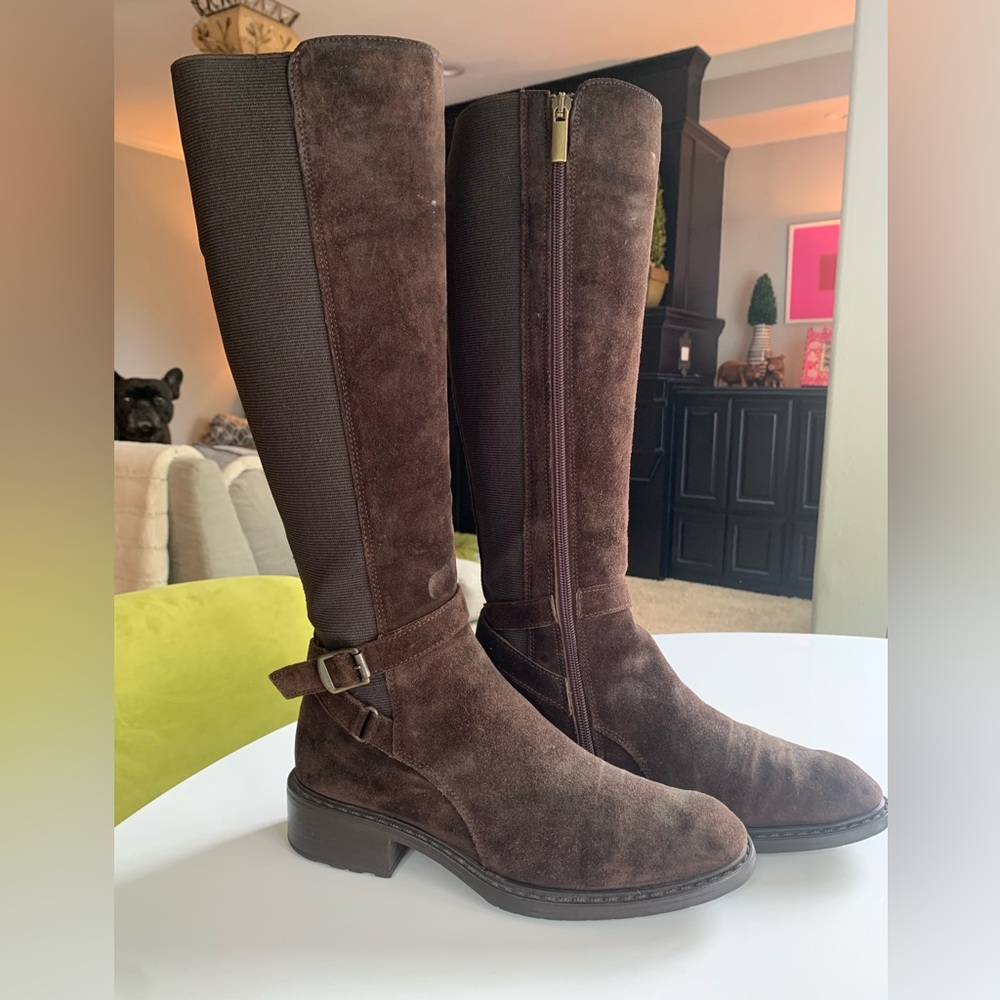 Aquatalia Brown Suede Winter Boots